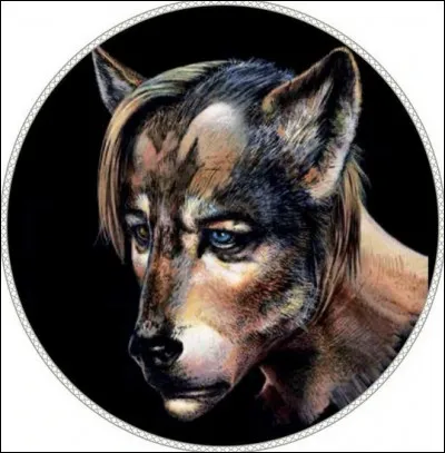 Quelle solution faut-il appliquer sur une morsure de loup-garou pour fermer la blessure et éviter à la victime de mourir par hémorragie ?