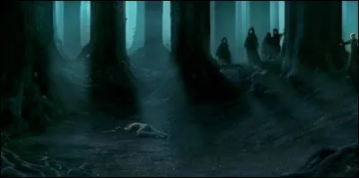 Quelle formule faut-il prononcer pour réveiller ton camarade lorsqu'il est stupefixé ?