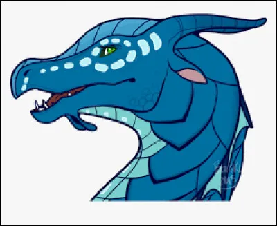 Si tu as ou avais une fille ou un fils, que ferais-tu ?