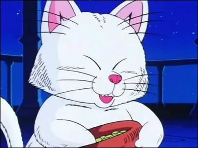 Qui est le deuxième maître de Goku ?