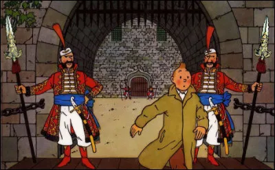 D'accord, nous ne sommes pas au Moyen-&Acirc;ge, mais les gardes sont arm&eacute;s d'une sorte de lance datant tout de m&ecirc;me du d&eacute;but du XVe s. ! Ce sont des ... (Compl&eacute;tez !)