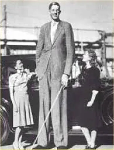 La personne la plus grande de tous les temps faisait plus de 5 mètres de haut.