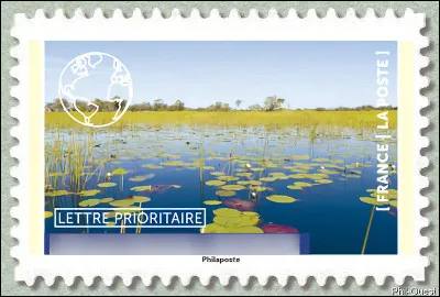 C'est le seul nom qui restait, les autres étaient déjà pris ! (...ou n'existent pas)