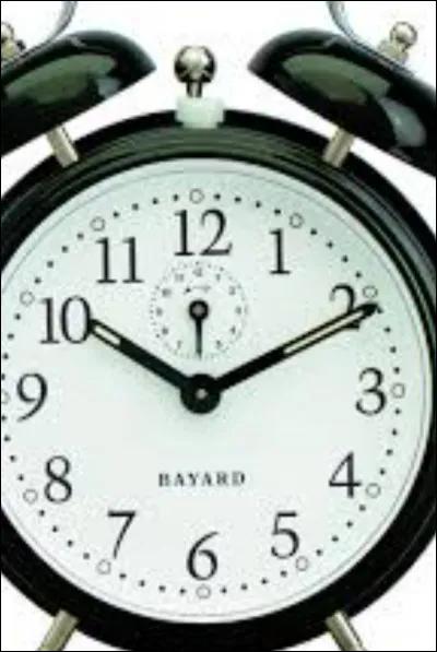 Enfin à l'hôtel, tu t'endors. Demain programme chargé : visite de la tour Eiffel, dîner au restaurant...
Puis le matin arrive mais ton réveil n'a pas sonné et il est déjà 10 heures du matin et dans 30 minutes tu dois aller quelque part !
Que fais-tu ?