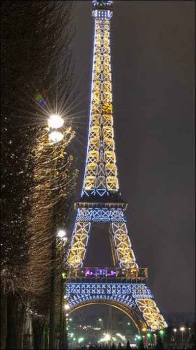 Après ce repas qui a été très long, tu vois la tour Eiffel et tu veux monter dessus mais il y a beaucoup d'escaliers et tu veux aller tout en haut...
Que fais-tu ?