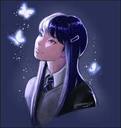 Sur quel balai Chang vole-t-elle ?