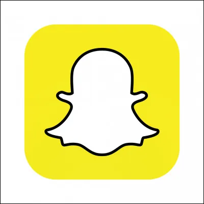 Quel est le nom de ce réseau social ?