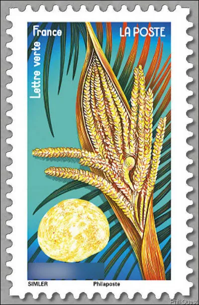 Un truc &agrave; devenir compl&egrave;tement noix si on le secoue trop !