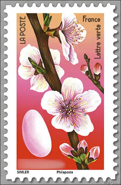 Parfois, on n'a m&ecirc;me pas vu la police mais dans la bo&icirc;te aux lettres, ... (Compl&eacute;tez !)