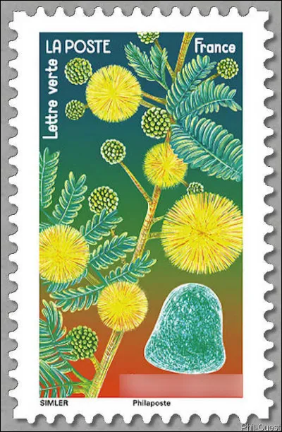 On en fait, entre autres et en Belgique, le "cuberdon" : quelle est cette substance qui efface toutes les souffrances ?