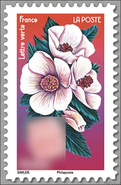 Jolie dans le jardin et pas mal dans le gosier... Qui suis-je ?