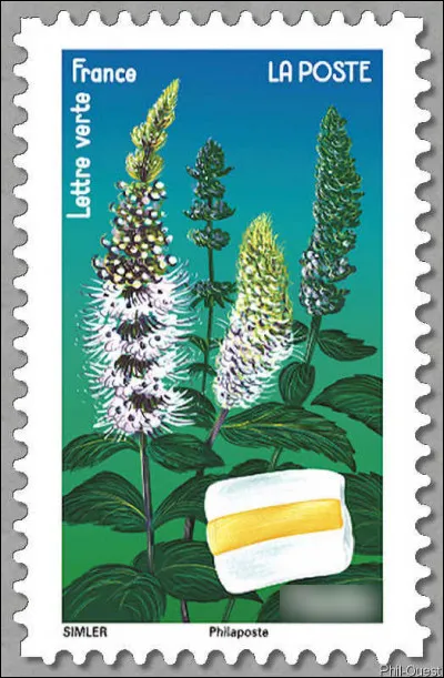 Elle aurait pu &ecirc;tre religieuse, mais pr&eacute;f&eacute;ra vivre cambr&eacute;e que courb&eacute;e... Qui est-elle ?