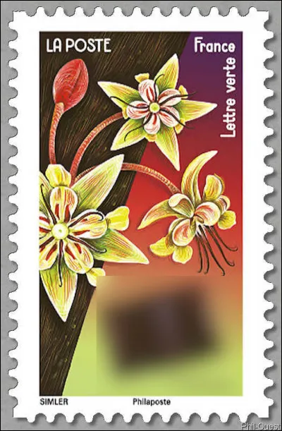 A l'esprit un tout petit peu carr&eacute;, si vous voyez ce que je veux dire...