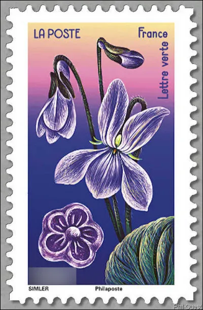 Si vous jouez, n'ayez pas peur de "perdre" (en anglais : to lose !)