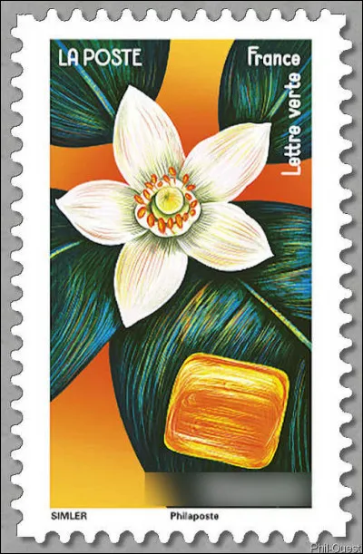 In&eacute;vitablement, en passant par la Lorraine. Qui suis-je ?