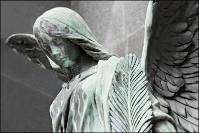 Une voix absolument extraordinaire pour interpr&eacute;ter : Nothing Compare 2 U !