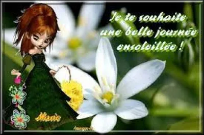 C'est s&ucirc;r, ce fut une belle journ&eacute;e !