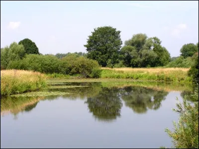 Fait une fixation, c'est l'...