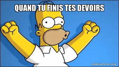 Une fois tes devoirs finis, que fais-tu ?
