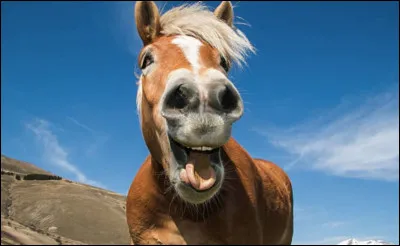 Choisis son caract&egrave;re. (2)