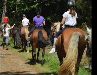 Choisis sa discipline. (1)