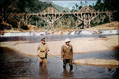 "Le Pont de la rivière Kwaï" sorti en 1957 est un énorme succès cinéma. Combien d'arbres ont été nécessaires pour construire cette réplique d'un pont ?