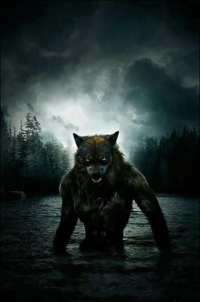 Choisis une race de loup-garou :