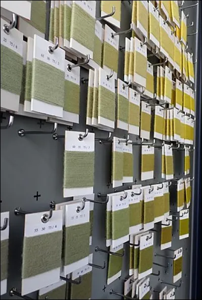 Lequel de ces processus la chlorophylle permet-elle ?