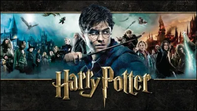 Question qui sort du contexte, es-tu une fille ou un garçon ?