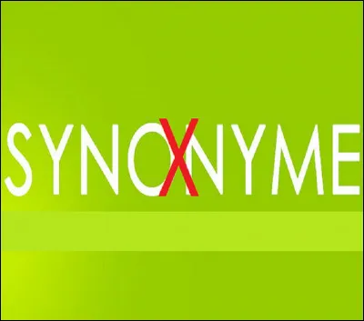 Quel mot n'est pas synonyme de poche lorsqu'on les a sous les yeux ?