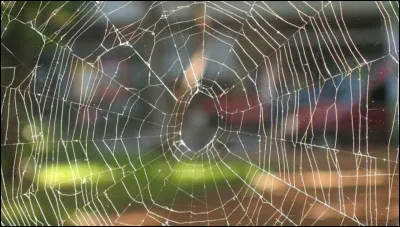 Quelle est sa plus grande peur ?