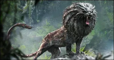 Comment s’appellent cet animal ?