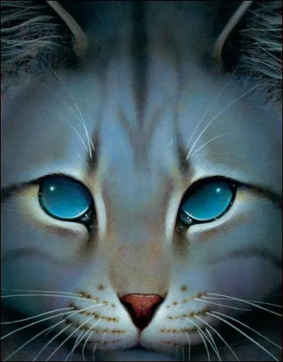 J'ai quitté mon clan pour échapper à un chat qui voulait ma mort. J'ai gardé mon nom d'apprenti toute ma vie. (Ce n'est pas moi sur l'image) Qui suis-je ?