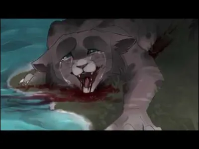 Mon seul crime a été de trop aimer. Qui suis-je ?