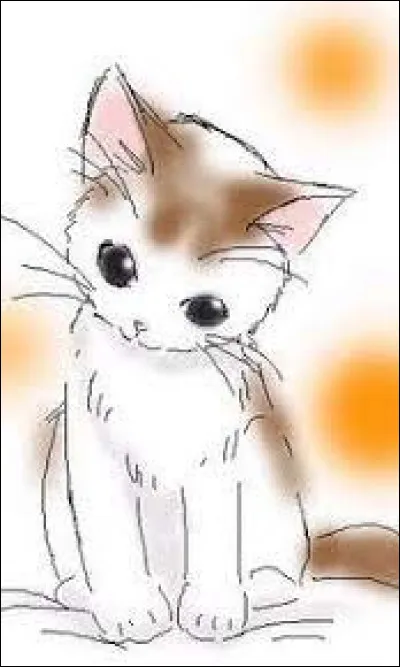 Cest plutôt important : aimes-tu les chats ?