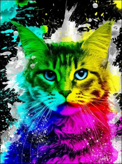 Ta couleur préférée est le : (Suite)