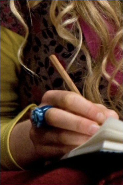 Qui est en train décrire ?