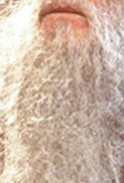 Qui est cette personne ?