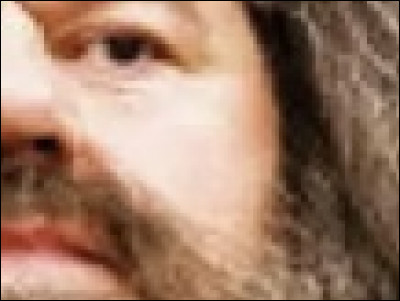 À qui appartiennent ces épais cheveux et cette moustache ?