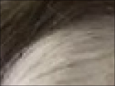 Qui a ces cheveux noirs et blancs ?