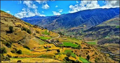 Dans laquelle de ces feuilles fait-on cuire la hallaca ?