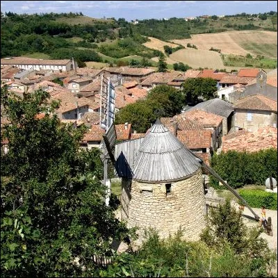 Quelle plante potagère, formée de plusieurs cayeux, possède des espèces à Cadours et Lautrec, en Midi-Pyrénées ?