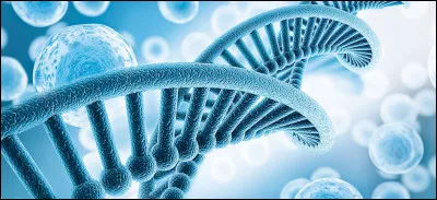 Sciences et Vie de la Terre ! Rien de mieux que cette matière pour commencer laprès-midi. Au fait, il y a deux mots dont je ne me rappelle pas lécriture. Pouvez-vous maider en cochant le seul mot existant parmi les deux propositions ci-dessous ?