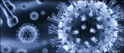 Même question que la précédente mais avec un autre mot.