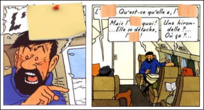 On peut dire que, depuis 1961, cette association a perdu des plumes...