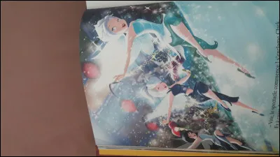 Toujours dans le même livre, qui sont ces fées ?