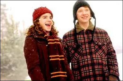 A détruit un Horcruxe :