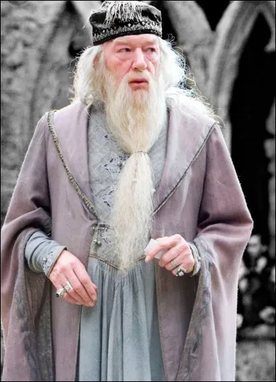 Sur quel go&ucirc;t Dumbledore tombe-t-il en go&ucirc;tant un bonbon Bertie Crochue ?