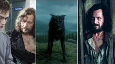 Dans l'univers de Harry Potter comment se nomment les sorciers capables de se transformer en animal ?