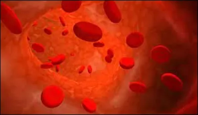 Quelle anomalie se caractérise par une baisse du taux d'hémoglobine dans le sang ?